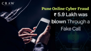 Online Cyber Fraud