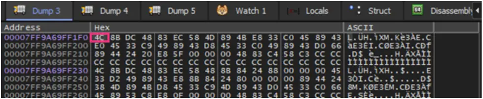 Image Shows Decrypted PE