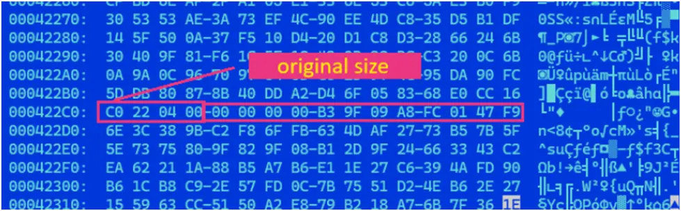 Image Shows encrypted files