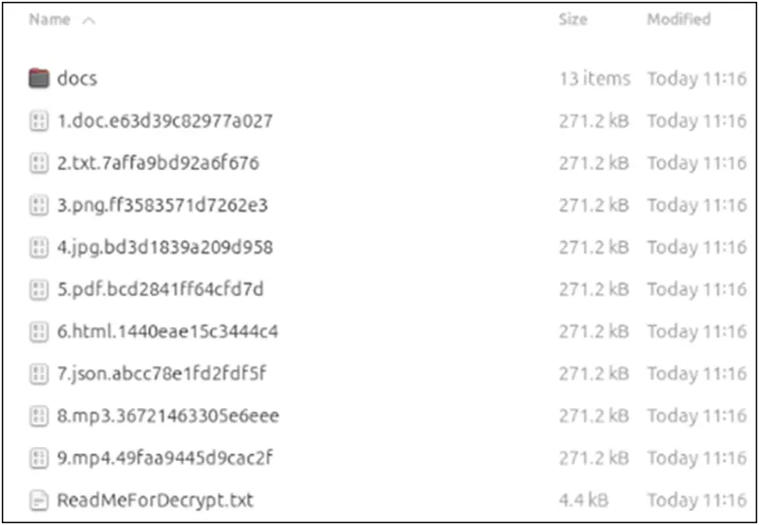Image shows encrypted filess