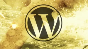 Image Shows ds-plugin-vulnerability