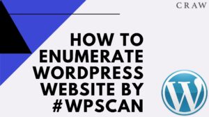 How To enumerate WordPress website by #wpscan (2)