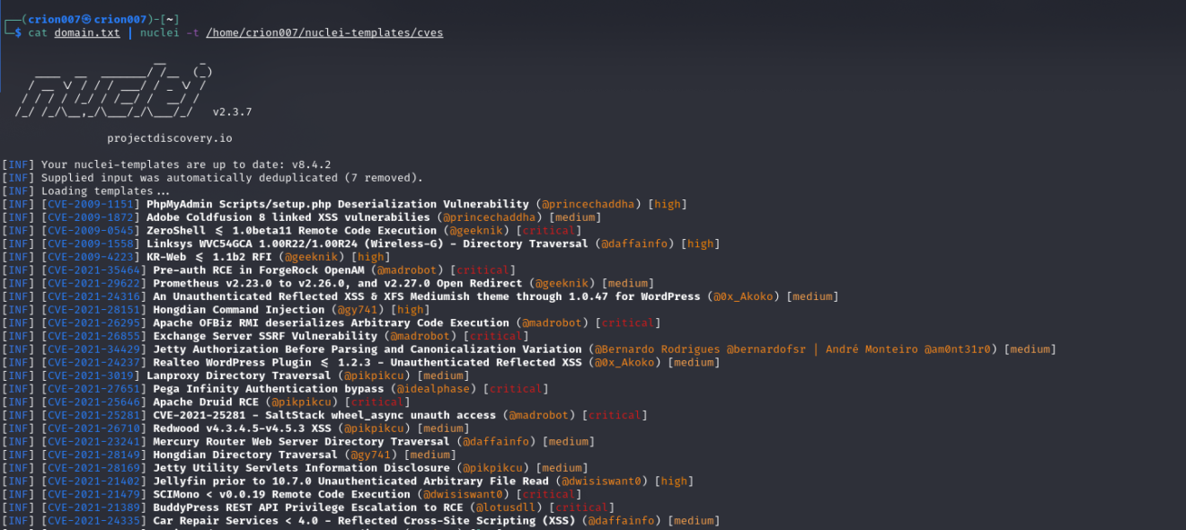 Nuclei Vulnerability Scanner tools fast and customizable