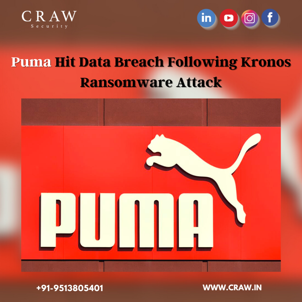 Cyber Attackers Hit Hard to Puma Servers