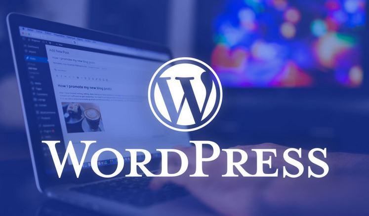 One Million Plus WordPress Sites Forcefully Updated to Repair a Vital Plugin Vulnerability