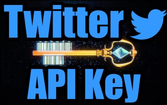Twitter API Key