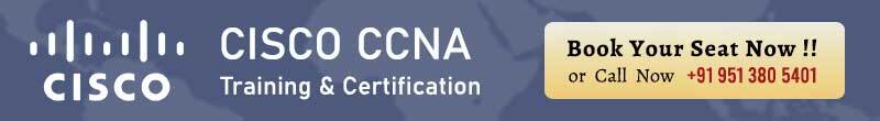 CCNA Training and Certification Course in Delhi