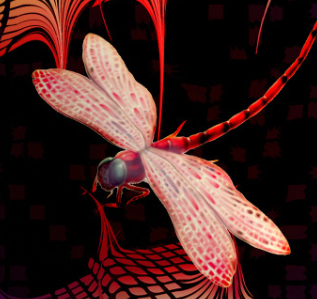 Emperor Dragonfly