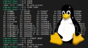 Why Use Linux?