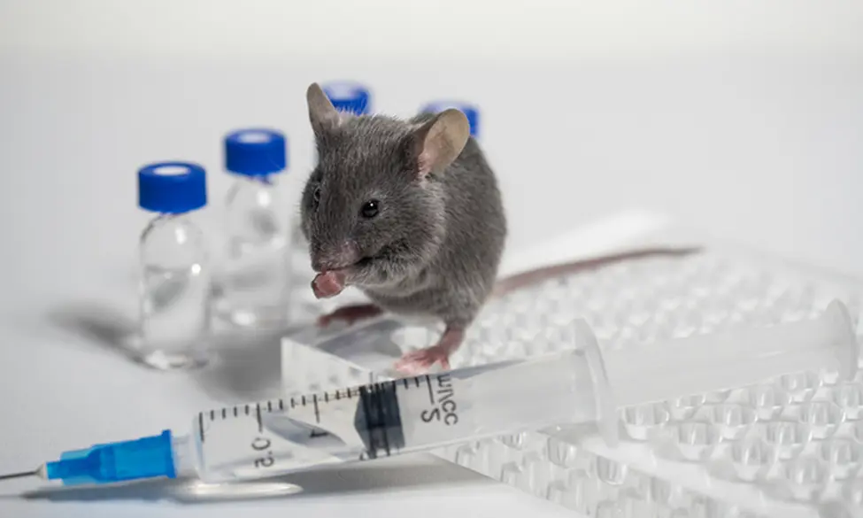 Image about Ad Injection and RAT Campaigns Expand the Threat Surface