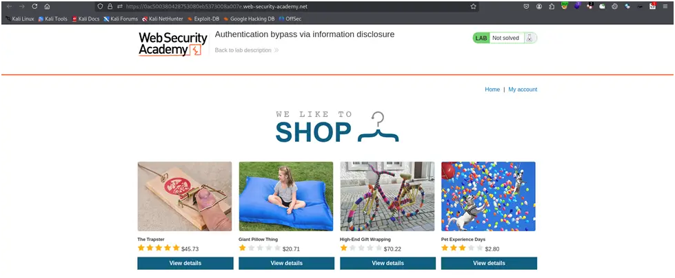 image shows X-Custom-IP-Authorization 