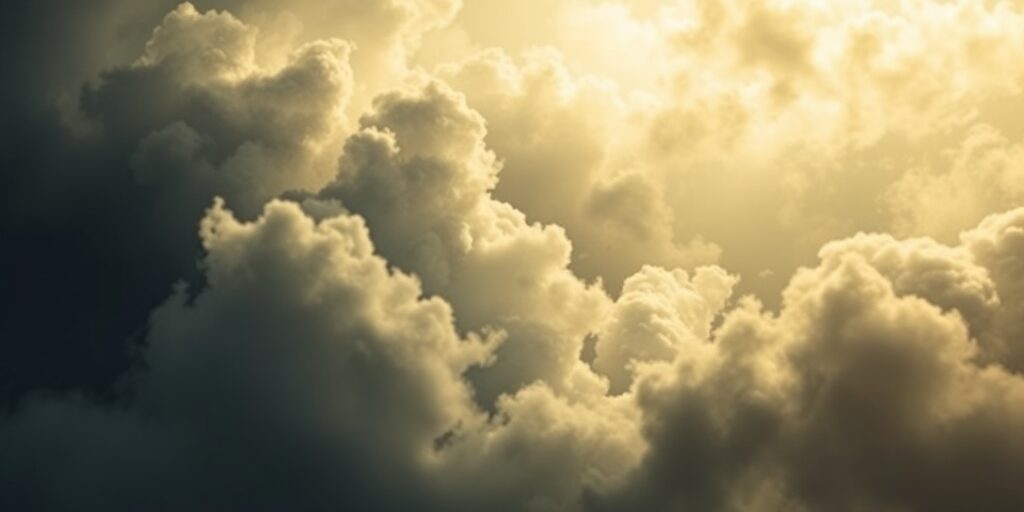 2026-02-11T085001.212-0500data