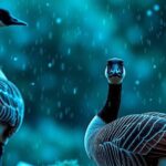 Canada-Goose-Hit-by-Data-Breach-600-000-Customer-Records-Exposed-to-Hackersdata