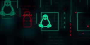 www.news4hackers.com-dirty-frag-linux-vulnerability-exposed-potential-security-risks-and-attacks-dirty-frag-linux-vulnerability-exposed-potential-security-risks-and-attacks